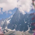 Les Des Aiguilles